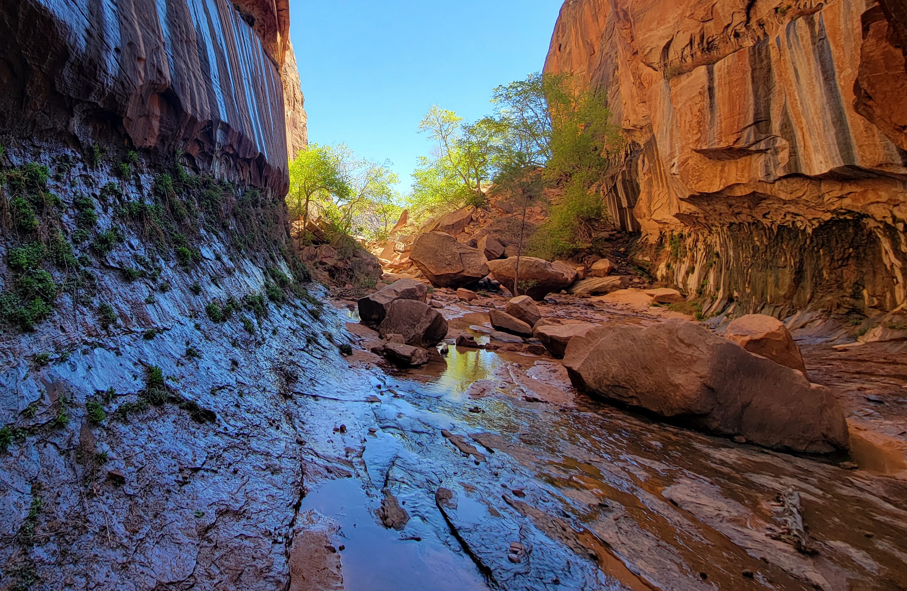 Teardrop Springs at Water Canyon This is what is called The Teardrop section of Water Canyon Springs. Water percoloates out of the canyon walls year round offering cascades of beautiful, sights, sound, sounds and discoveries.