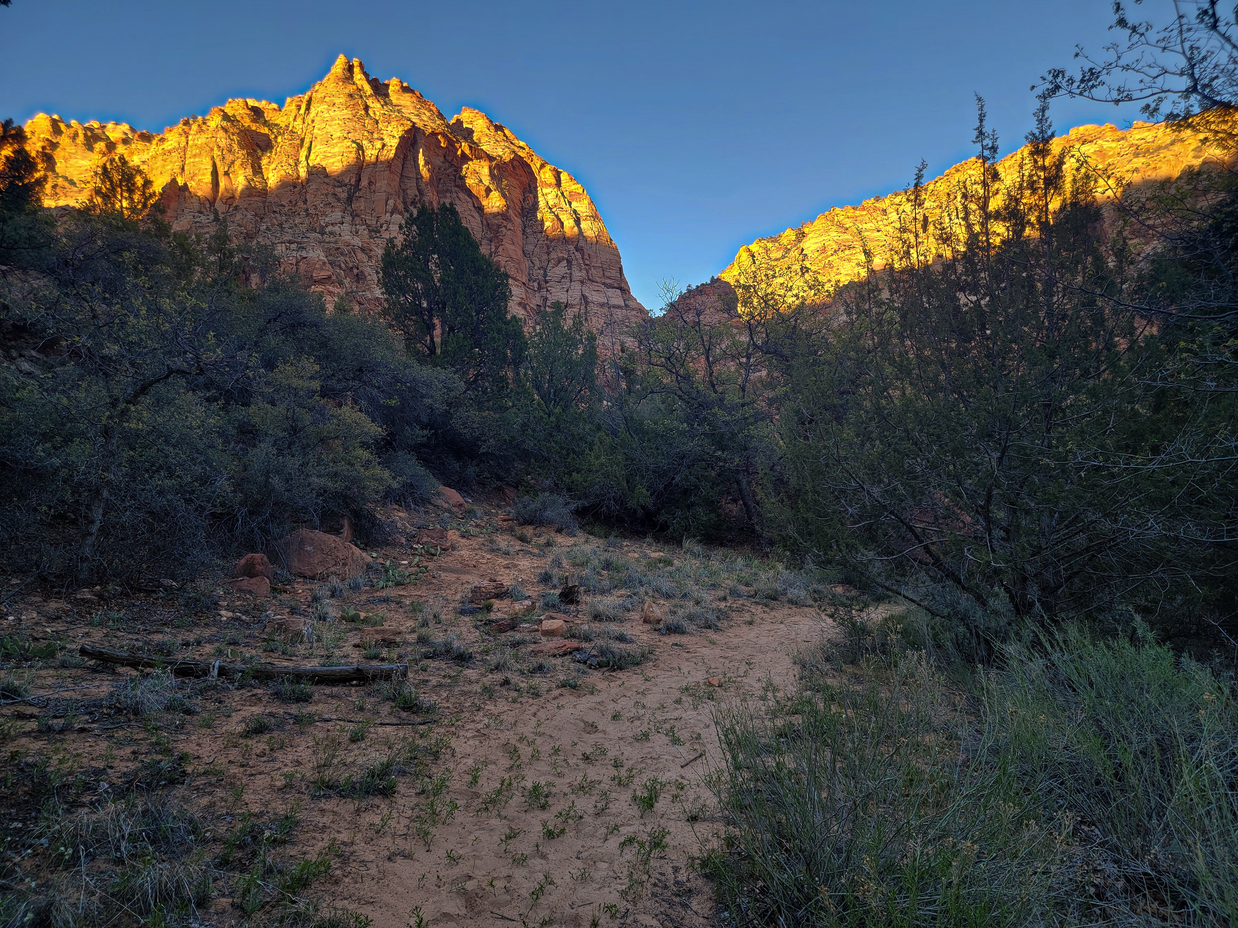 BeginningTheHike20260404 185604