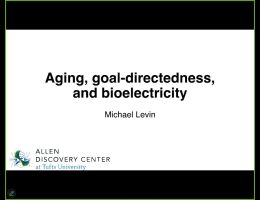 aging goal directedness and