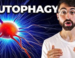 the shocking new neuroscience