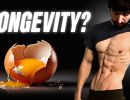 the sugar diet protein restriction