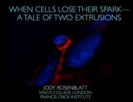 when cells lose their spark a tale