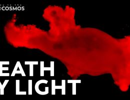 why do microbes explode under uv
