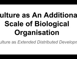 culture as an additional scale of