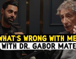 my therapy session with dr gabor