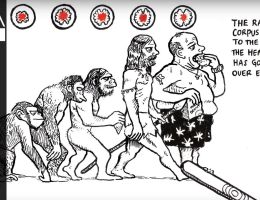rsa animate the divided brain