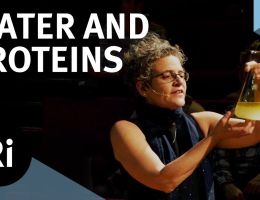 the physics of life how water