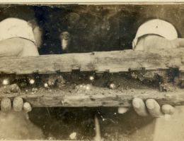 this stick of wood ran the world