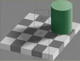 optical illusion are squares a b