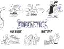 epigenetics nature vs nurture